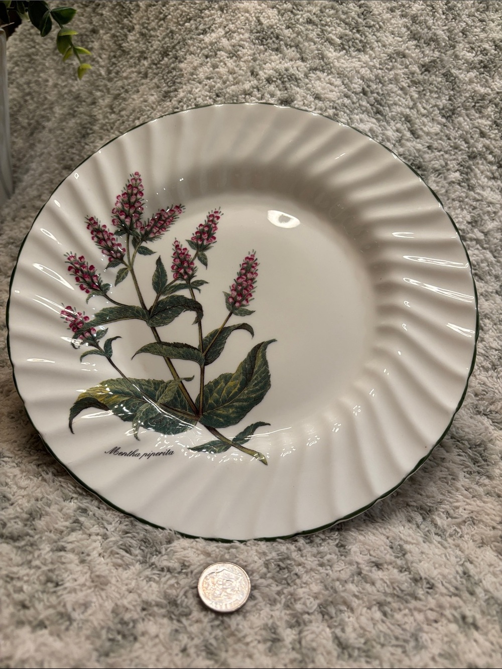 Royal Patrician Fine Bone China Pink Botanical Serve Dish England NWT 8” - Picture 6 of 14